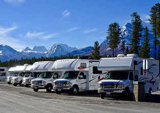 RV Camping with Dogs: Tips, Gear, and Hacks for Stress-Free Travel