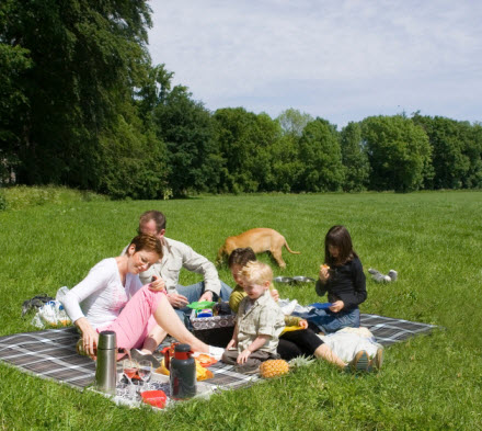 Family picnic on ground blanket