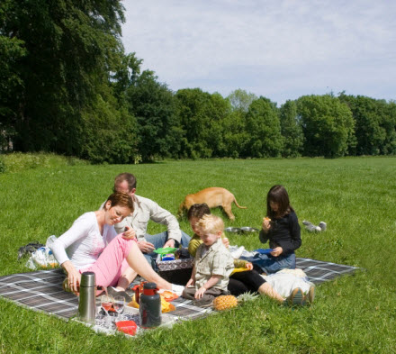 RV awnings Family picnic on ground blanket