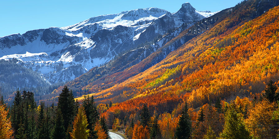 Fall foliage on mountain